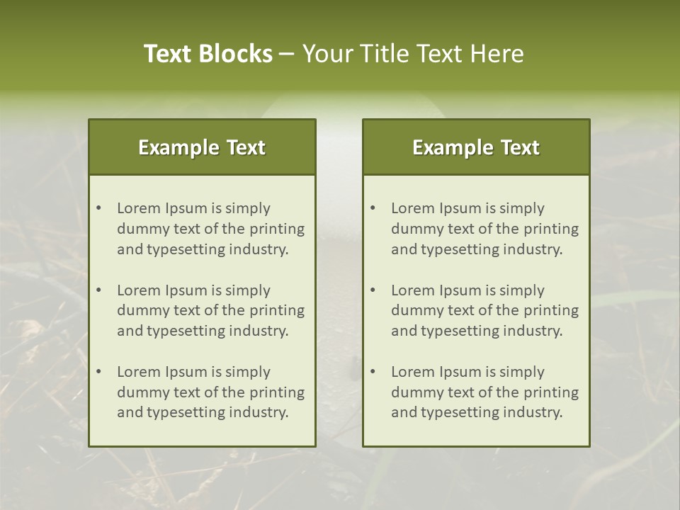 Woods Outdoors White PowerPoint Template