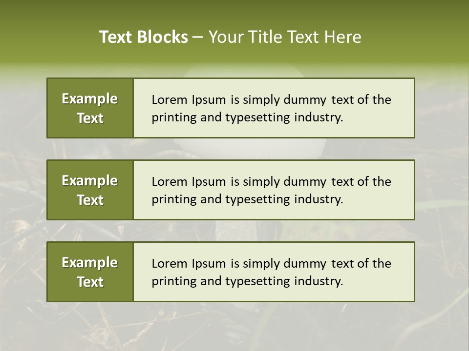 Woods Outdoors White PowerPoint Template