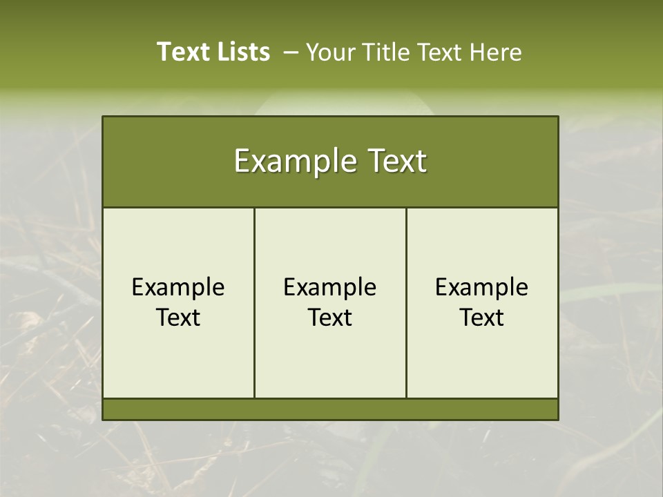 Woods Outdoors White PowerPoint Template