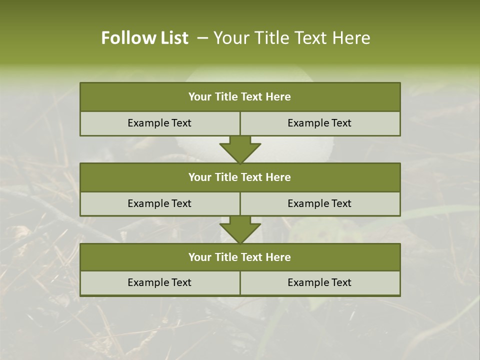 Woods Outdoors White PowerPoint Template