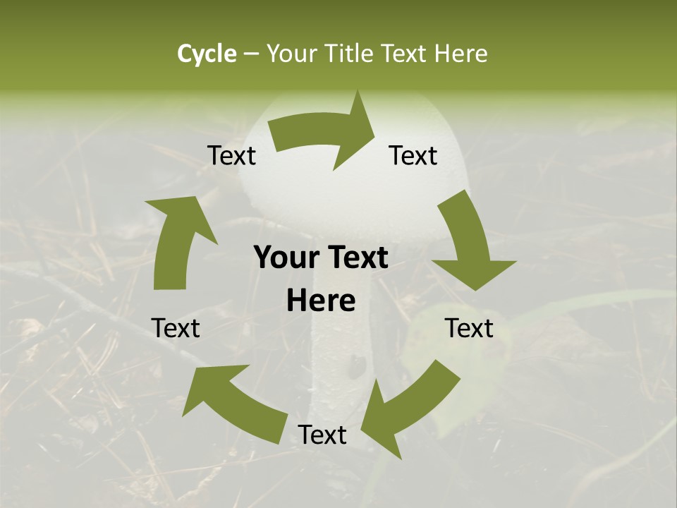 Woods Outdoors White PowerPoint Template