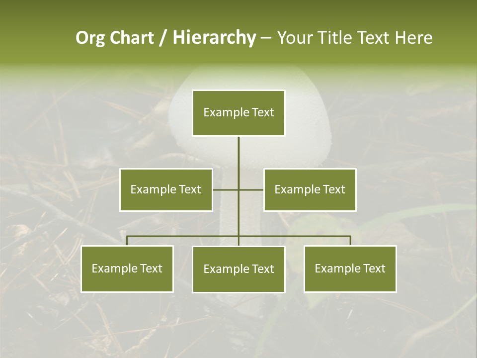 Woods Outdoors White PowerPoint Template
