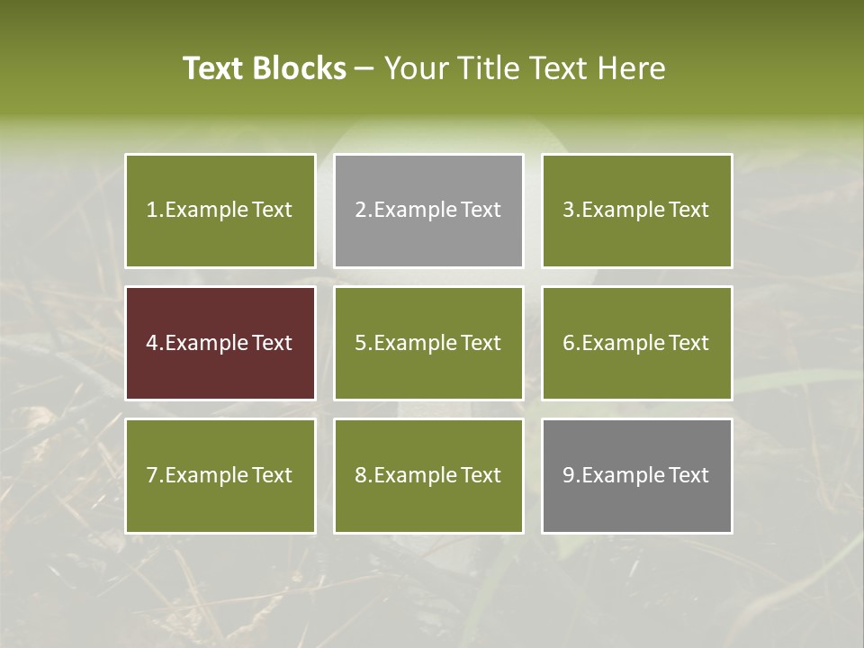 Woods Outdoors White PowerPoint Template
