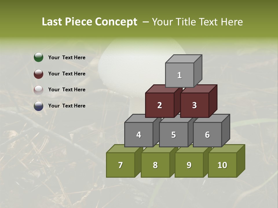 Woods Outdoors White PowerPoint Template