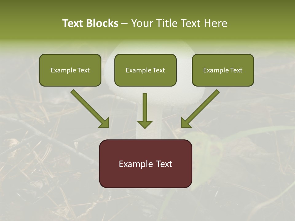 Woods Outdoors White PowerPoint Template