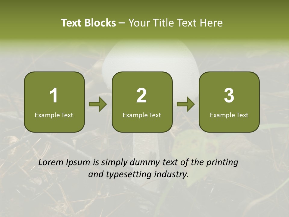 Woods Outdoors White PowerPoint Template