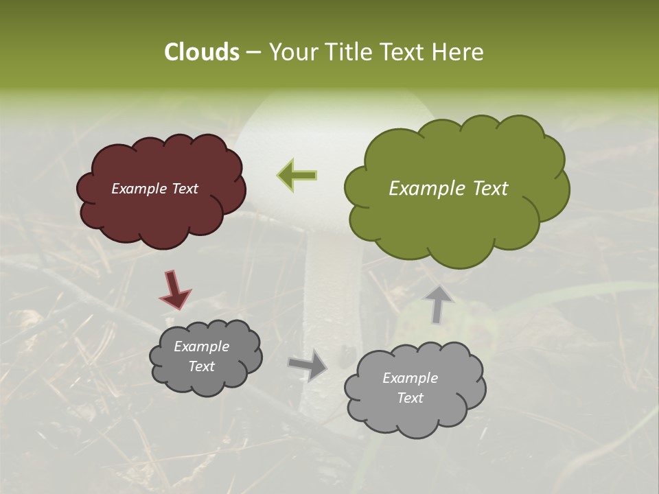 Woods Outdoors White PowerPoint Template