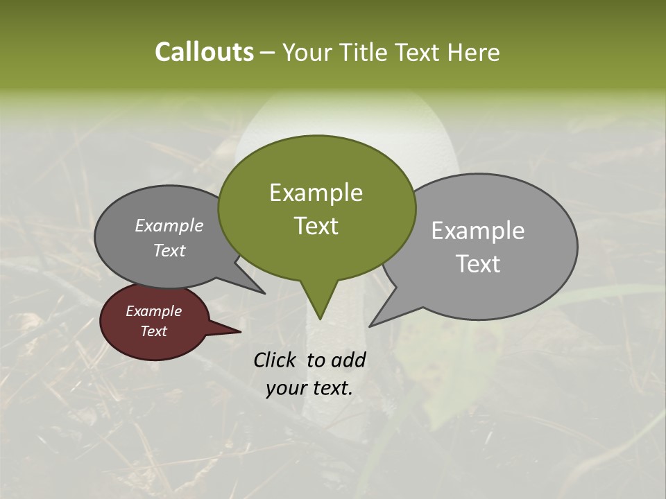 Woods Outdoors White PowerPoint Template