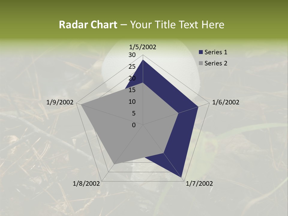 Woods Outdoors White PowerPoint Template