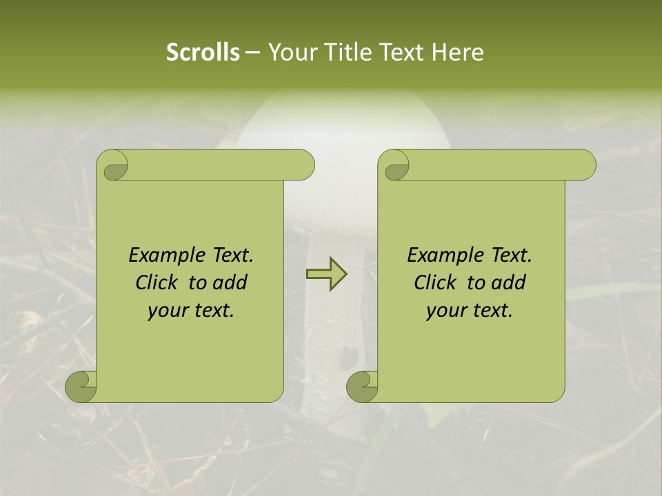Woods Outdoors White PowerPoint Template