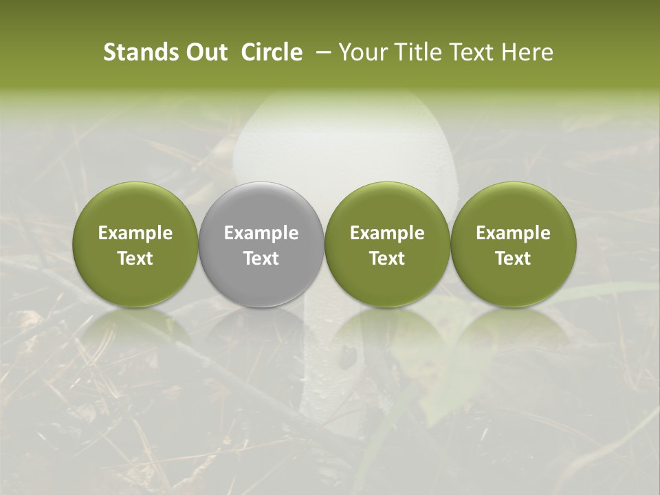 Woods Outdoors White PowerPoint Template