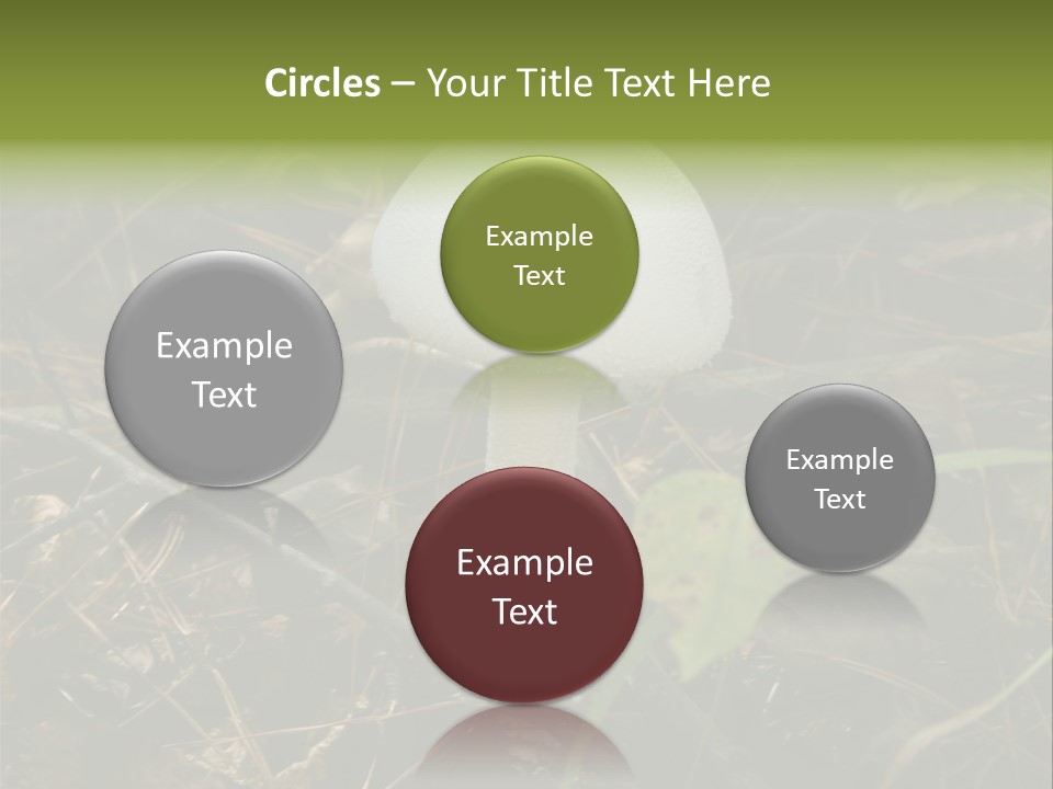 Woods Outdoors White PowerPoint Template