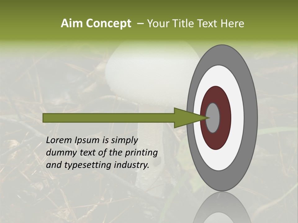 Woods Outdoors White PowerPoint Template