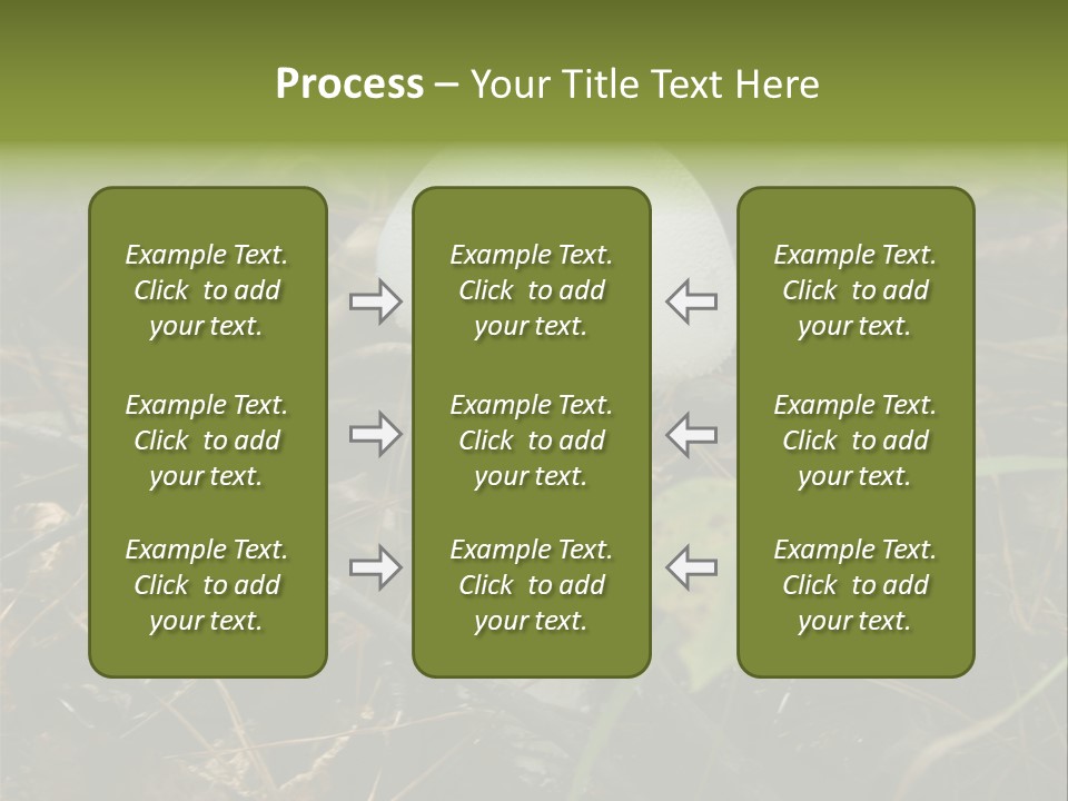 Woods Outdoors White PowerPoint Template