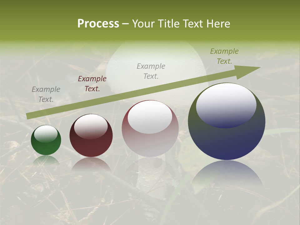 Woods Outdoors White PowerPoint Template