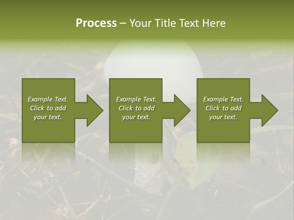Woods Outdoors White PowerPoint Template