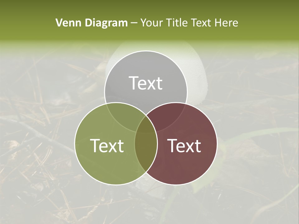 Woods Outdoors White PowerPoint Template