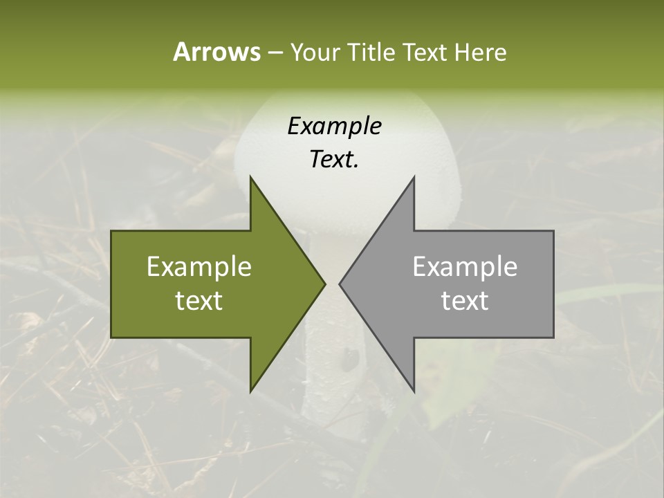 Woods Outdoors White PowerPoint Template