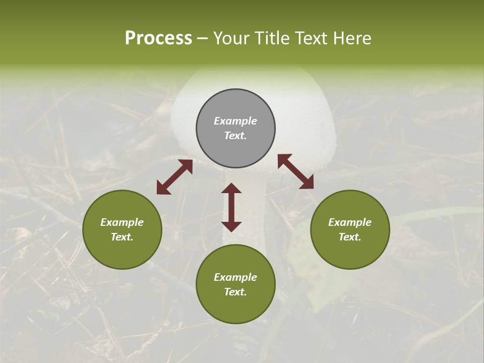 Woods Outdoors White PowerPoint Template