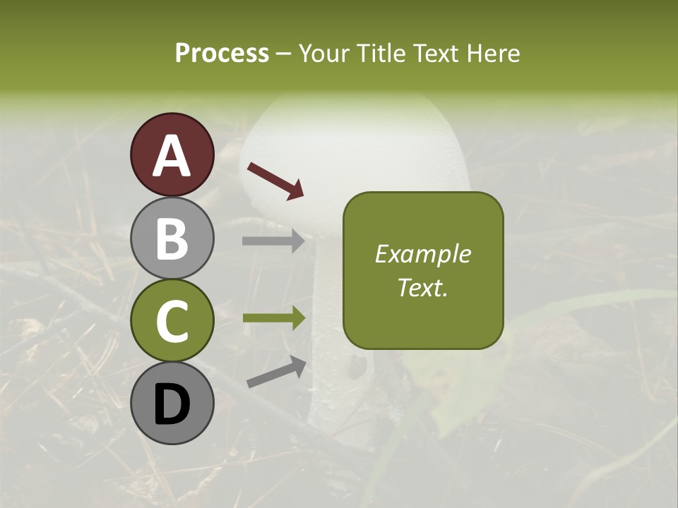 Woods Outdoors White PowerPoint Template