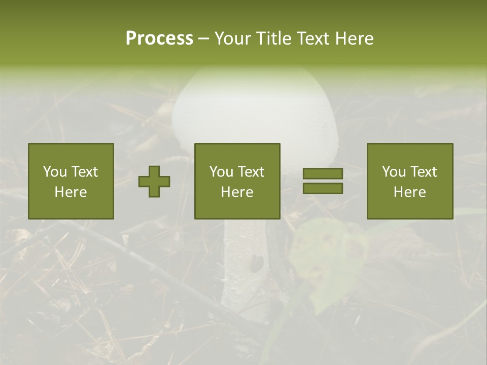 Woods Outdoors White PowerPoint Template