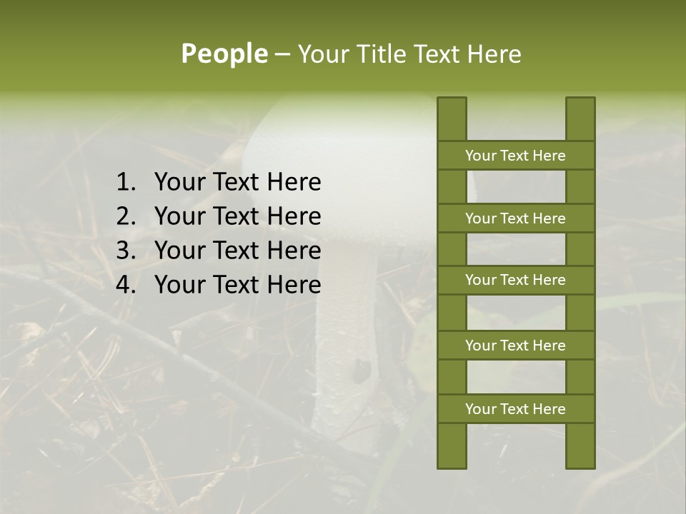 Woods Outdoors White PowerPoint Template