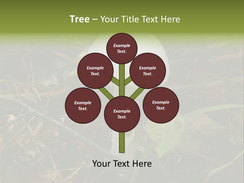 Woods Outdoors White PowerPoint Template