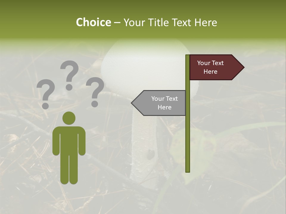 Woods Outdoors White PowerPoint Template