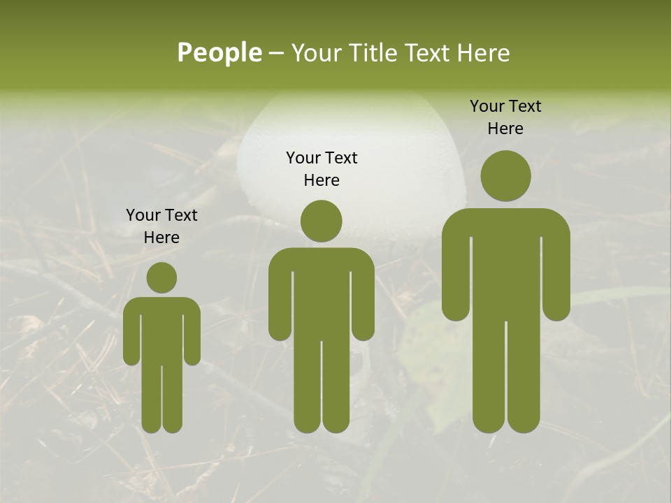 Woods Outdoors White PowerPoint Template