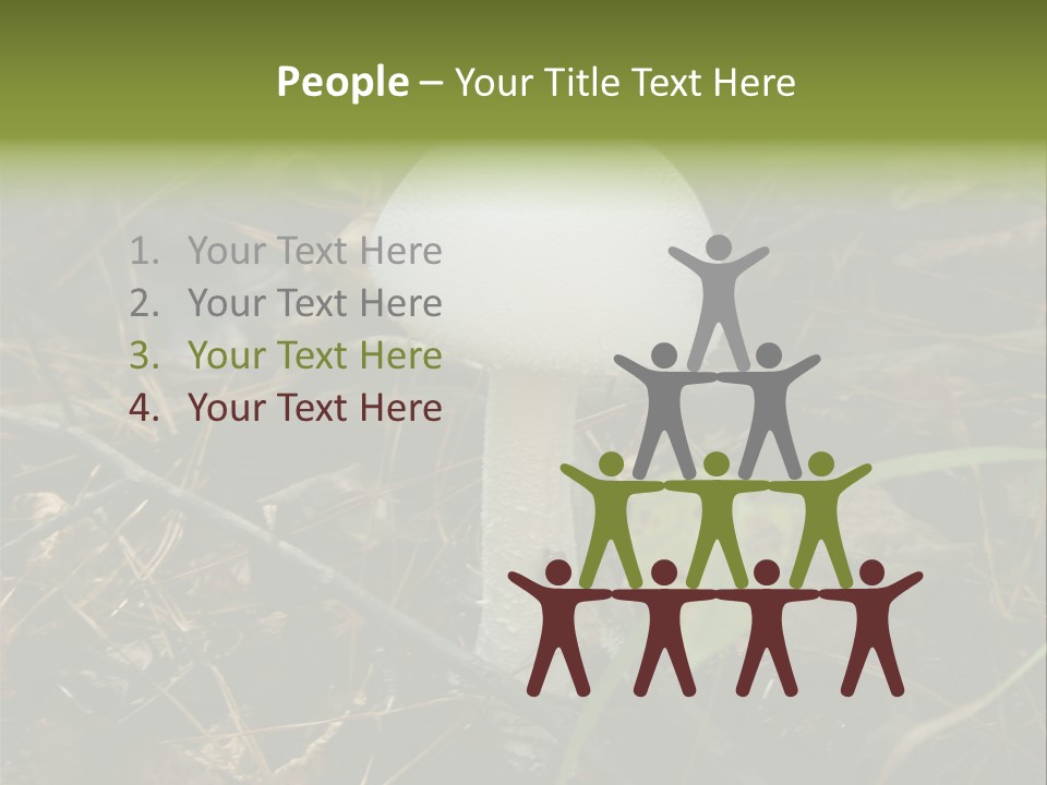 Woods Outdoors White PowerPoint Template