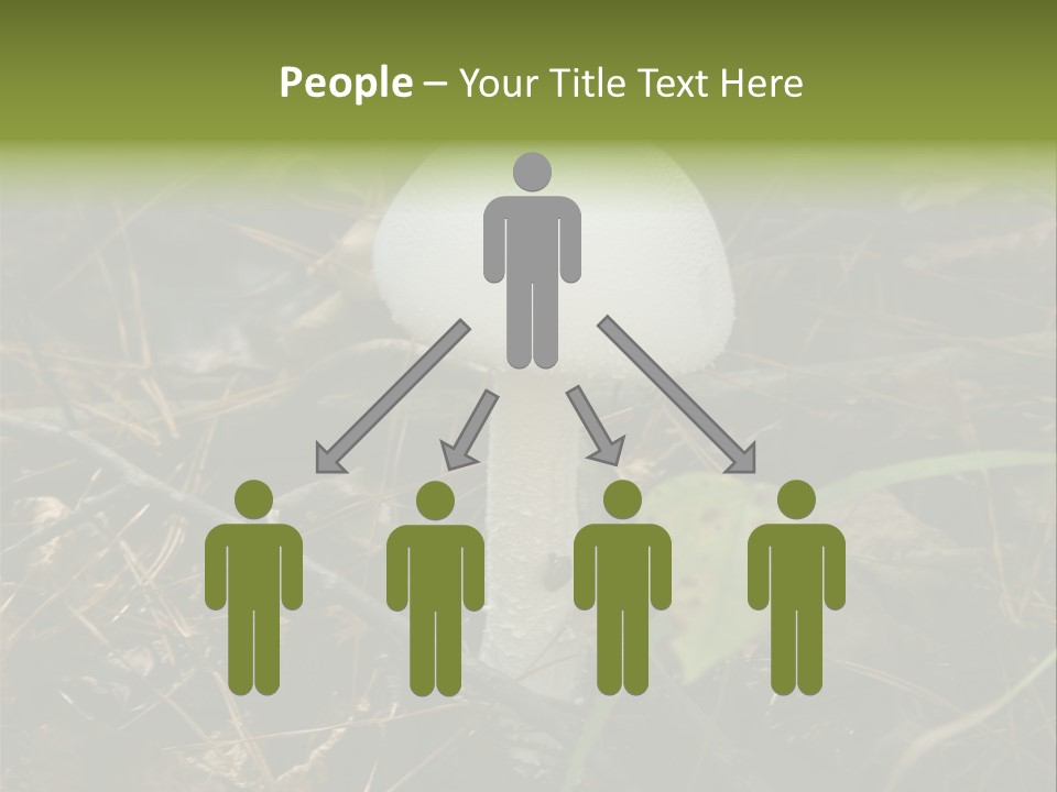 Woods Outdoors White PowerPoint Template