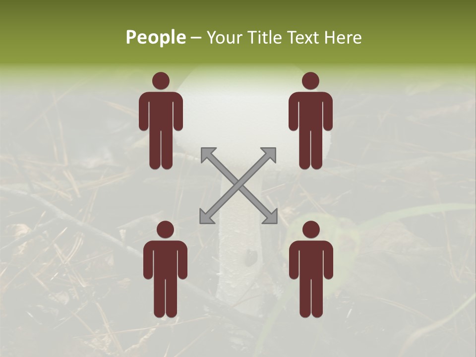 Woods Outdoors White PowerPoint Template
