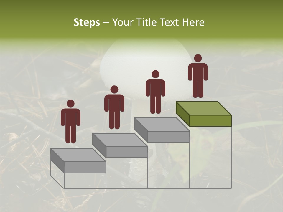 Woods Outdoors White PowerPoint Template