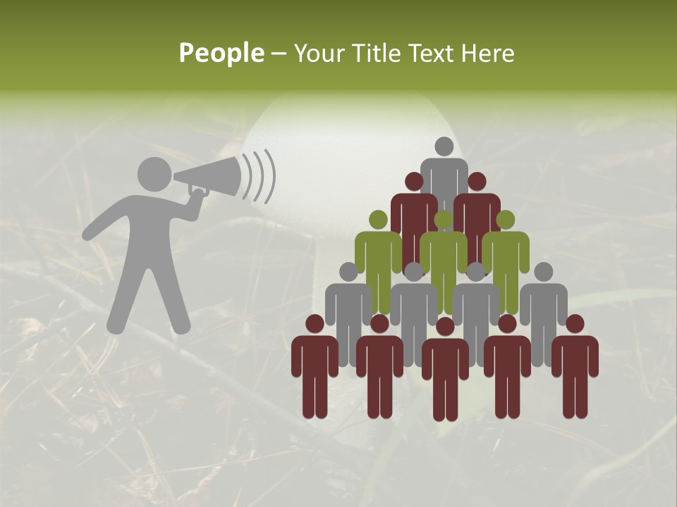 Woods Outdoors White PowerPoint Template