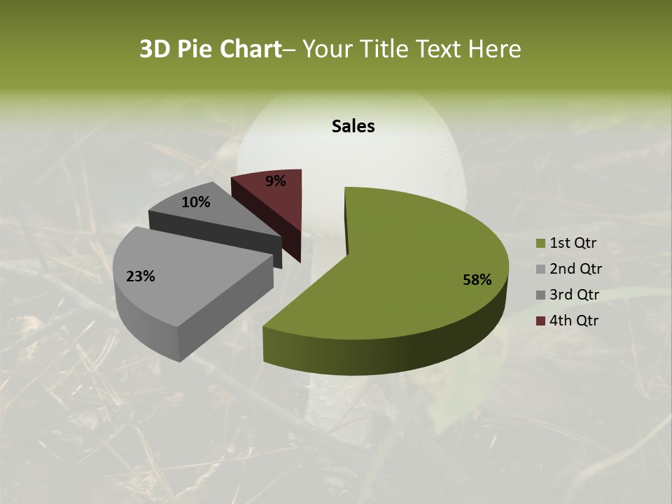 Woods Outdoors White PowerPoint Template