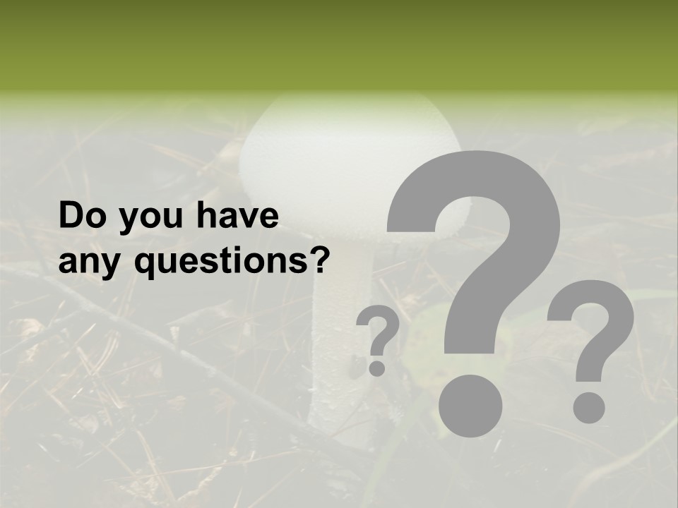 Woods Outdoors White PowerPoint Template