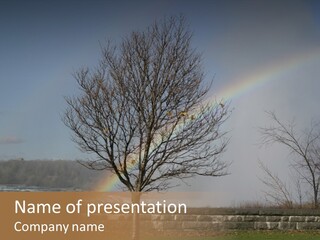 Mist Tree Niagara PowerPoint Template