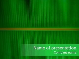 Company Writing Together PowerPoint Template