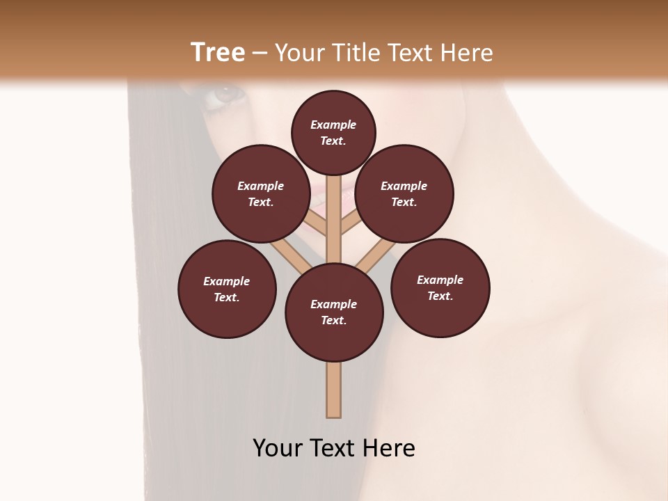 Conference Company Li Ten PowerPoint Template