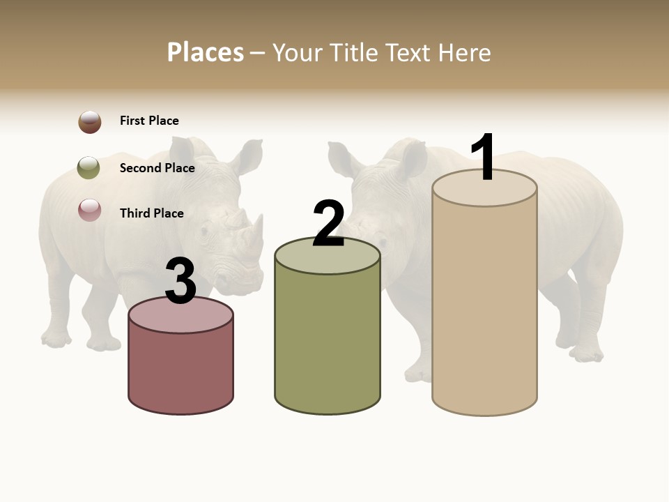 Safari Grey Standing PowerPoint Template