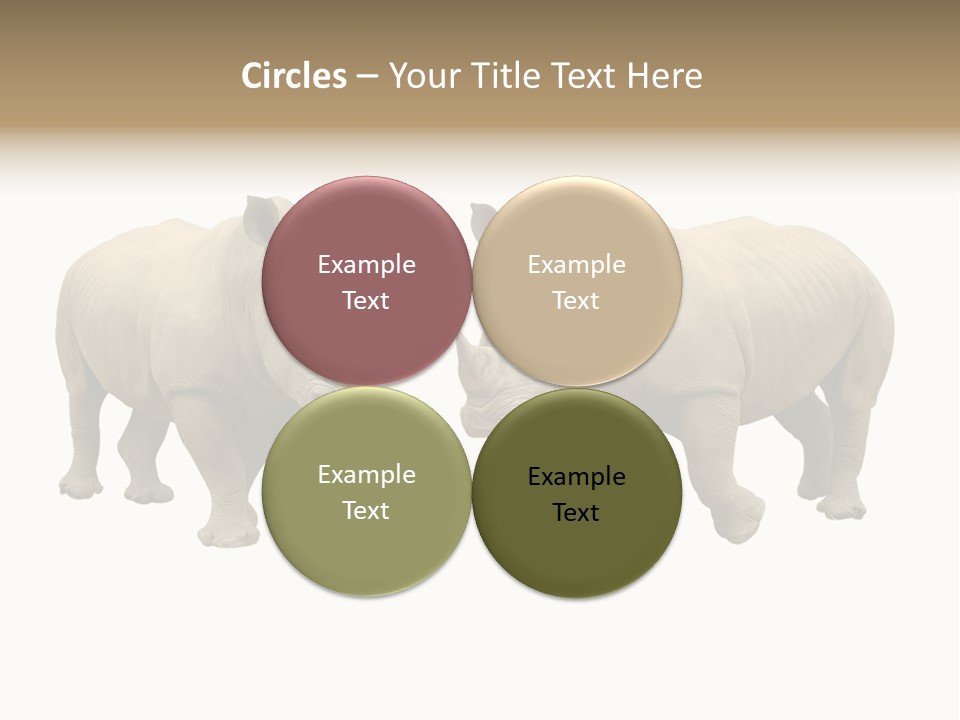 Safari Grey Standing PowerPoint Template