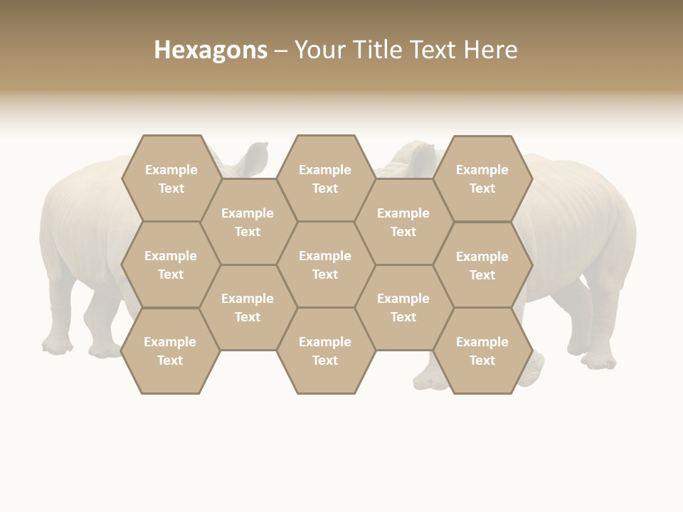 Safari Grey Standing PowerPoint Template