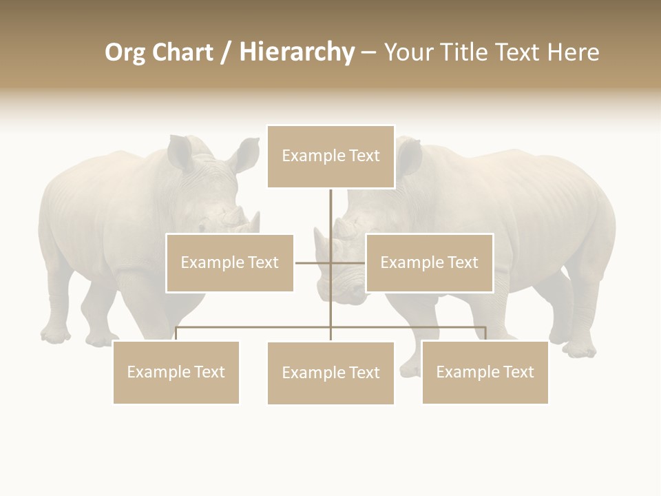 Safari Grey Standing PowerPoint Template