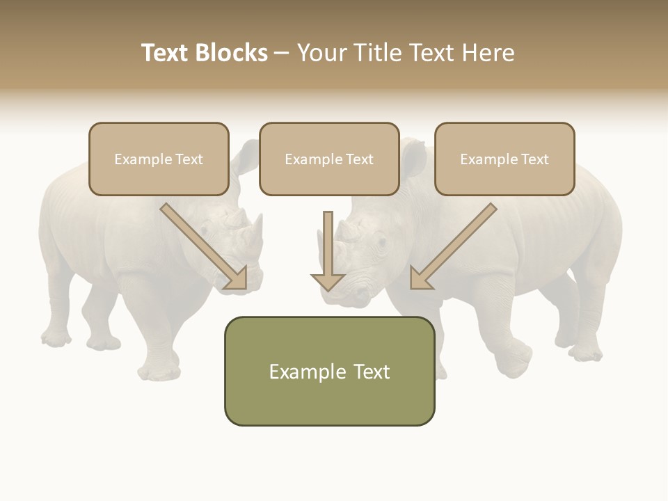Safari Grey Standing PowerPoint Template