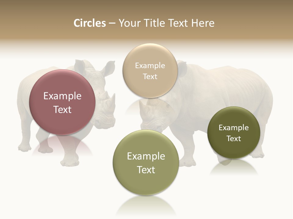 Safari Grey Standing PowerPoint Template