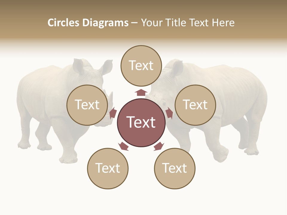 Safari Grey Standing PowerPoint Template