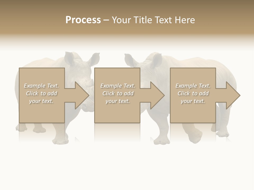 Safari Grey Standing PowerPoint Template