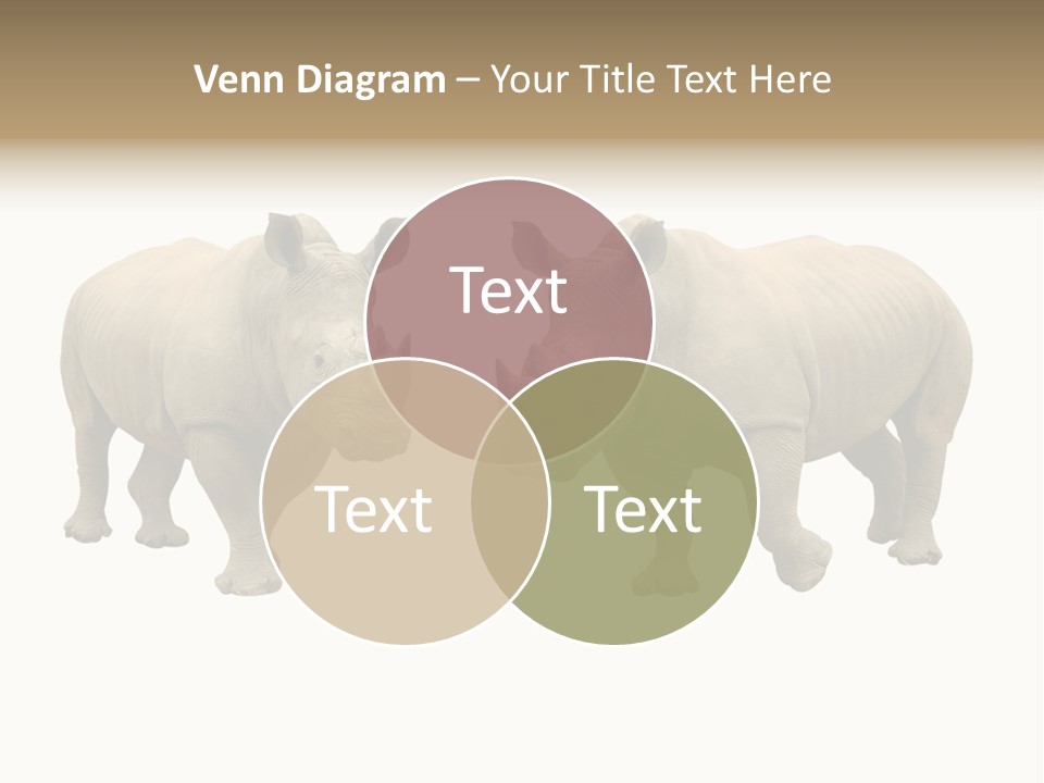 Safari Grey Standing PowerPoint Template