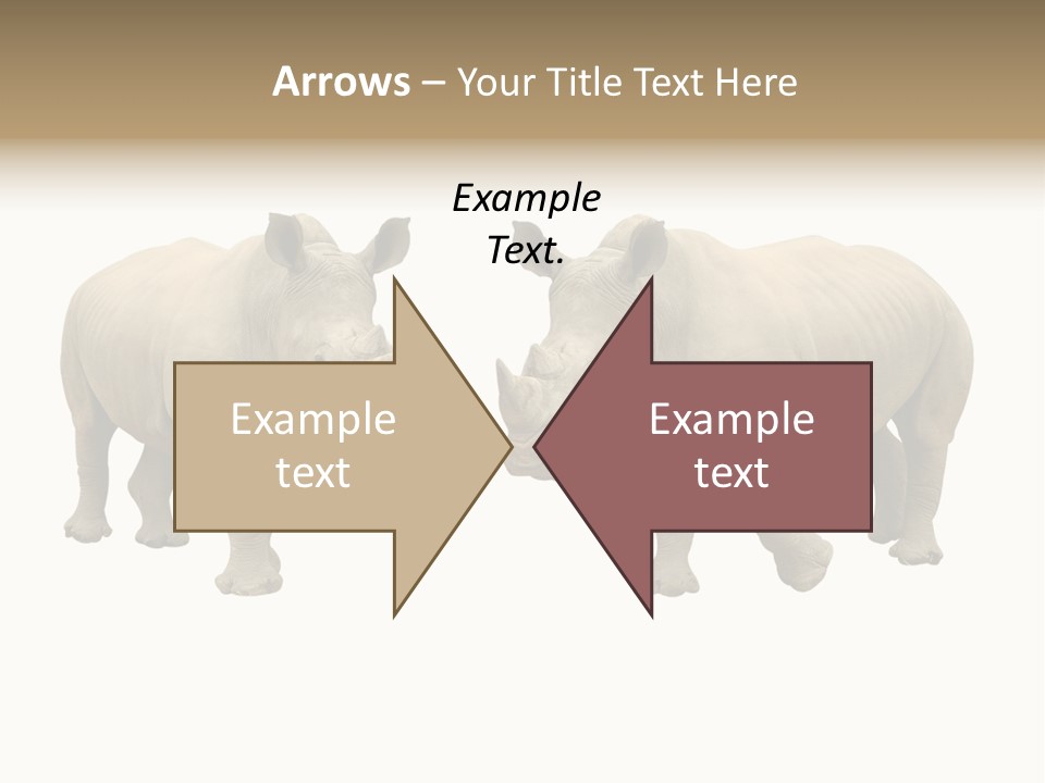 Safari Grey Standing PowerPoint Template