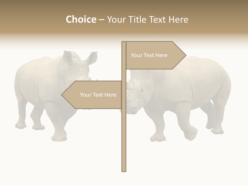 Safari Grey Standing PowerPoint Template